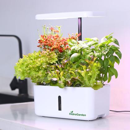 Iluminação Ideal: Sol ou Luz Artificial Inteligente? - inspiração 1