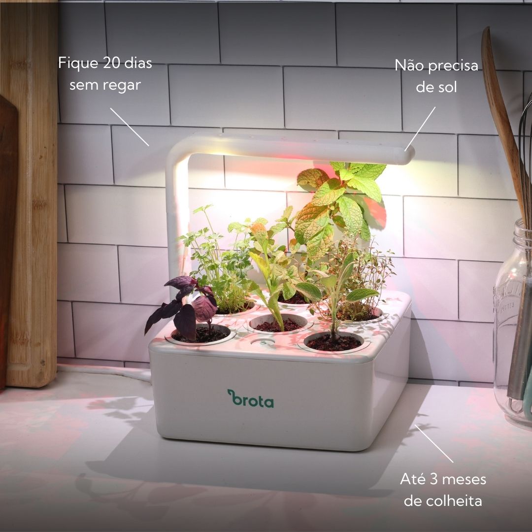 Iluminação Ideal: Sol ou Luz Artificial Inteligente? - inspiração 2