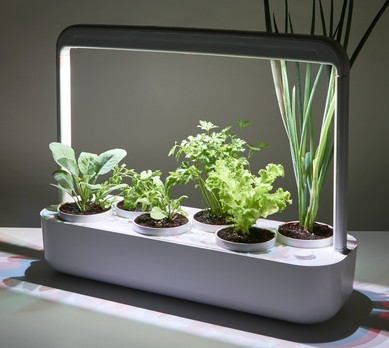 Irrigação Automatizada: Dando a Quantidade Certa de Água - inspiração 1