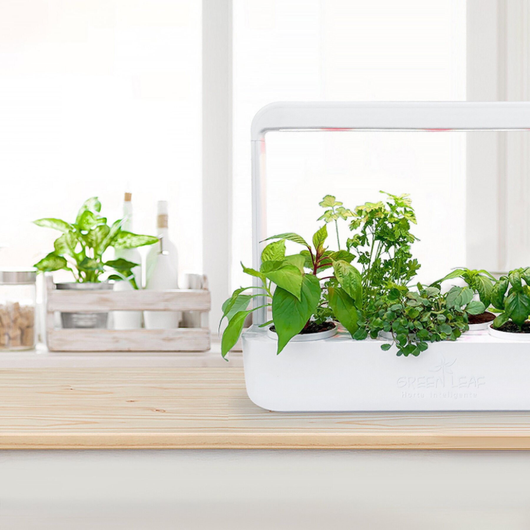 Irrigação Automatizada: Dando a Quantidade Certa de Água - inspiração 2