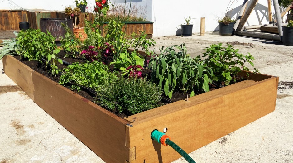 Sensores de Umidade e Nutrientes: O Cérebro da Horta - inspiração 1