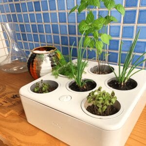 Controle de Temperatura e Umidade: Ambientes Sob Medida - inspiração 2