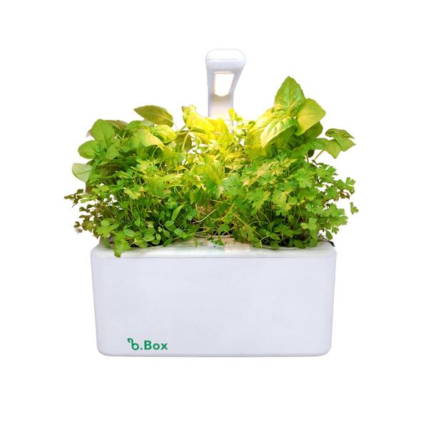 Nutrição Inteligente: Fertirrigação Guiada por Dados - inspiração 1