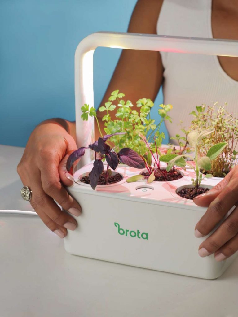 Proteção Contra Pragas e Doenças: Prevenção e Monitoramento - inspiração 1