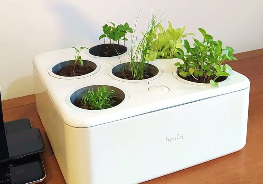 Proteção Contra Pragas e Doenças: Prevenção e Monitoramento - inspiração 2