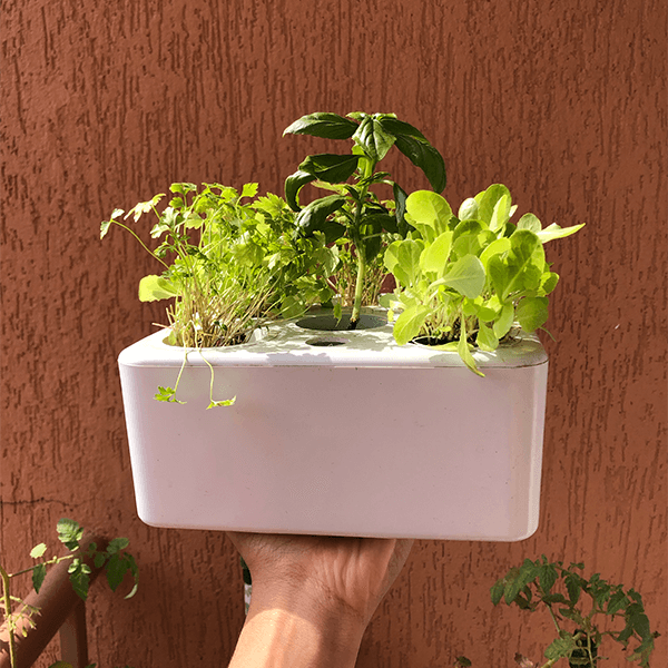 Conectividade e Aplicativos: Gerenciando Tudo Pelo Celular - inspiração 1