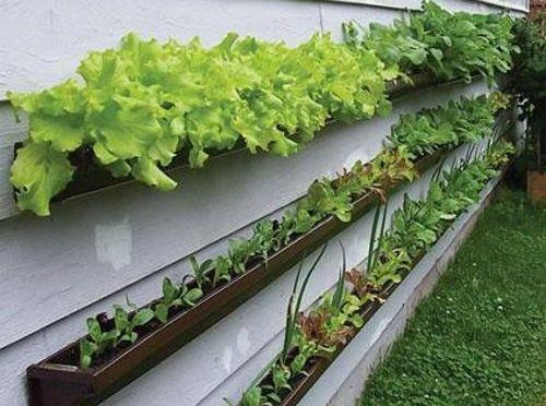 horta suspensa como fazer