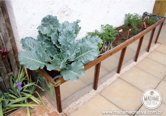 Dicas de irrigação para hortas verticais em apartamentos