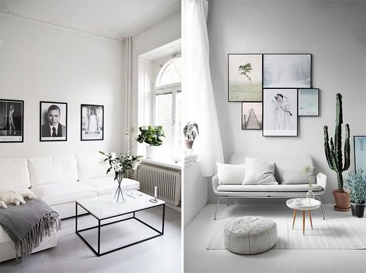 Abrace o Verde: Plantas para um Toque de Natureza e Frescor - inspiração 2