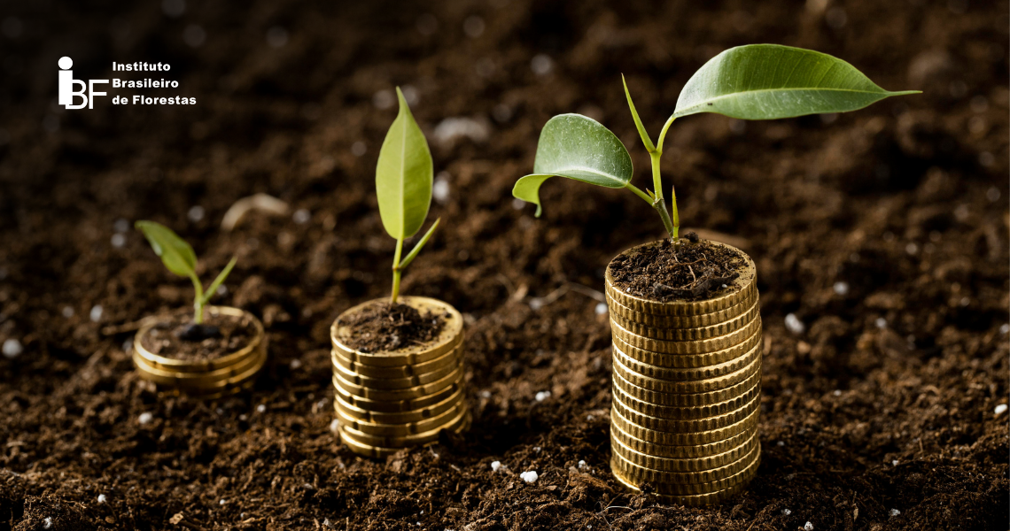 Acompanhamento estratégico sem obsessão: Ajustes pontuais para otimizar resultados. - inspiração 1