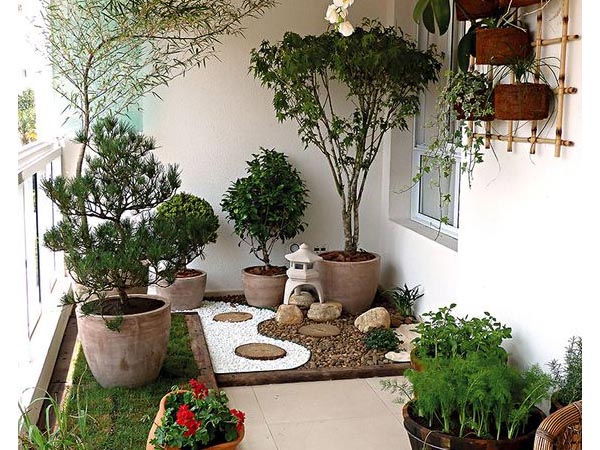 10 Plantas Resistentes para Jardins Pequenos e Baratos