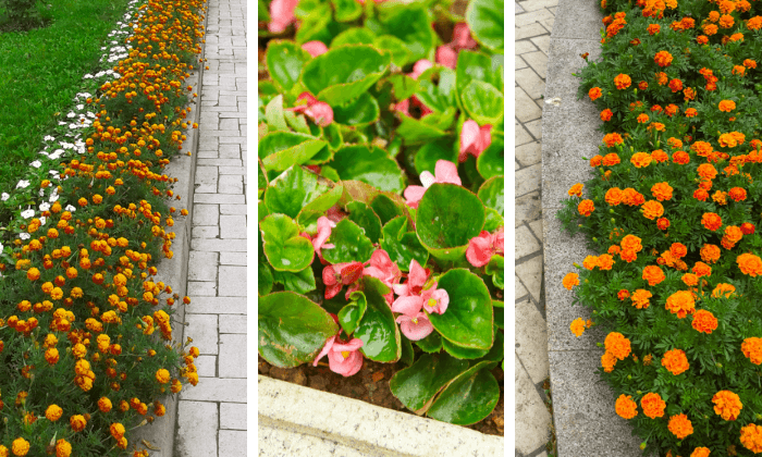 Transforme Materiais Reciclados em Vasos de Design para seu Jardim