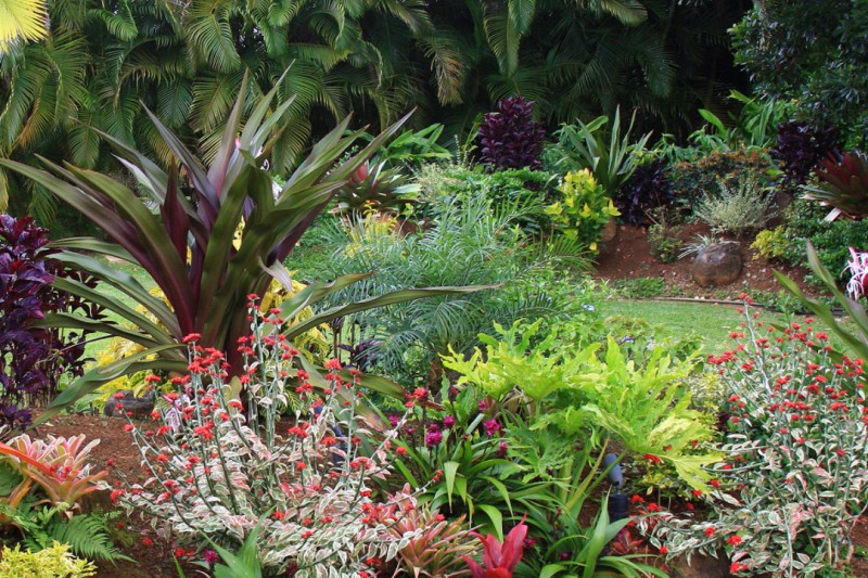 Como criar um jardim rochoso em vaso