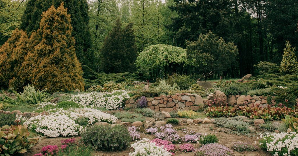 Como criar um jardim rochoso em vaso