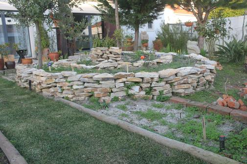 Como criar um jardim rochoso em vaso