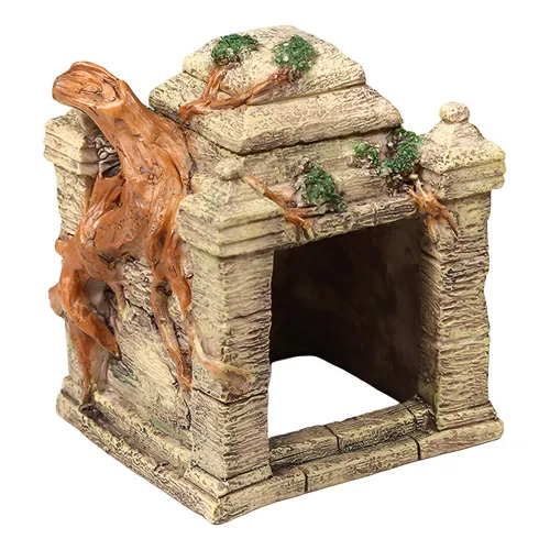 Dicas de manutenção para jardins rochosos