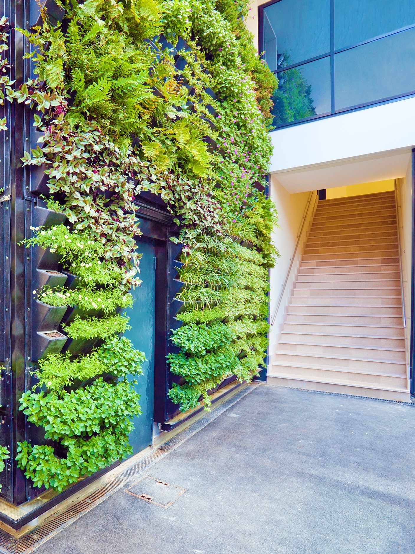 Colheita Eficiente: Sabedoria na Hora Certa - inspiração 1