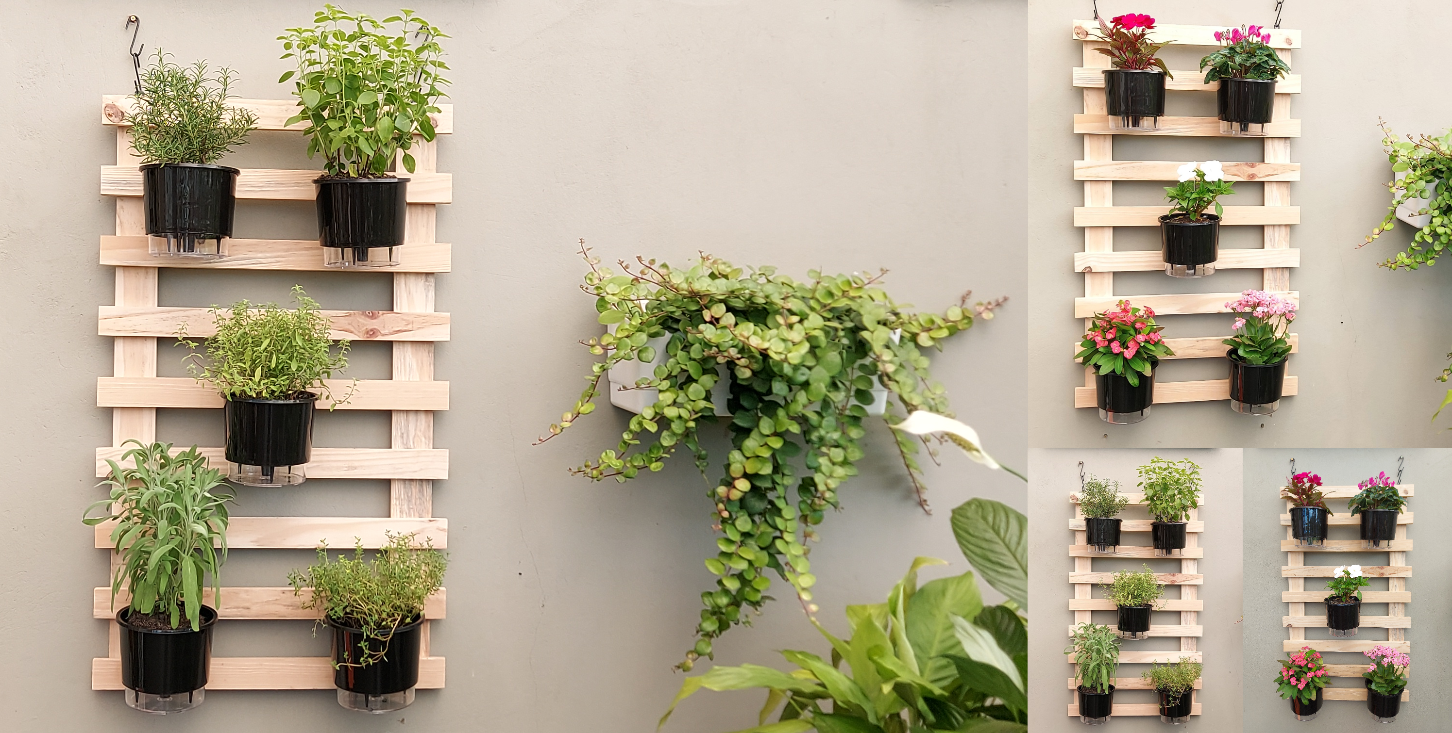 O Substrato Perfeito: Nutrição e Drenagem Garantidas - inspiração 2