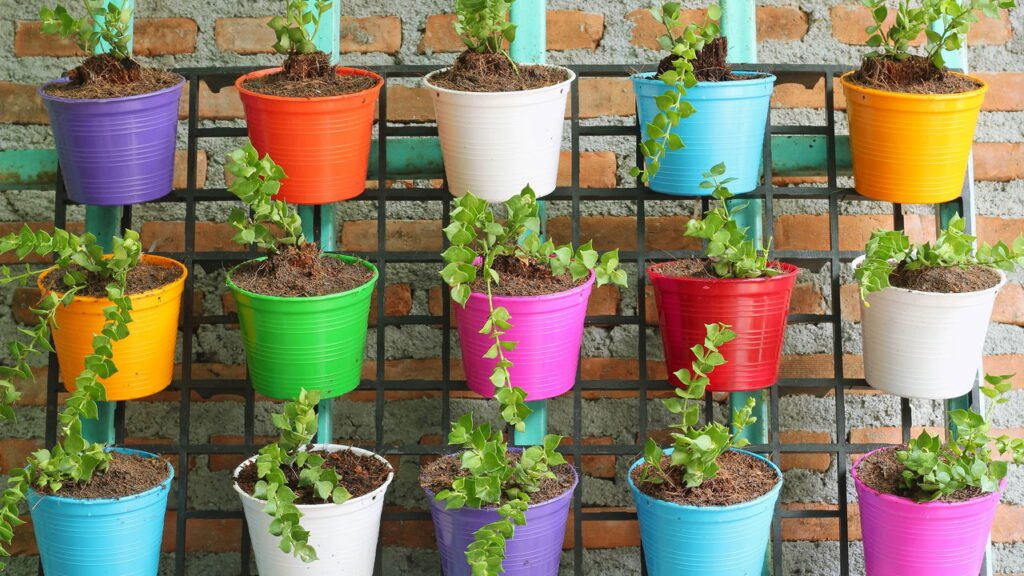 Técnicas de Plantio: Garra, Espaço e Circulação de Ar - inspiração 2