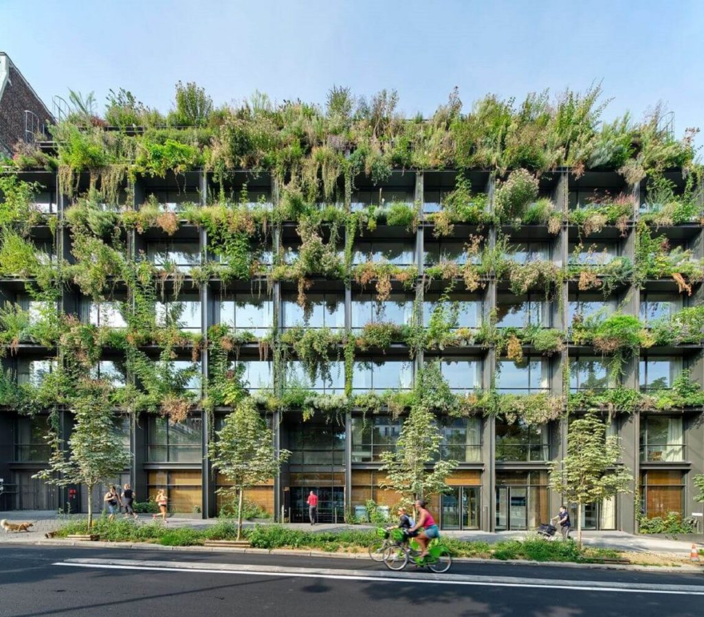 Controle de Pragas: Soluções Caseiras e Ecológicas - inspiração 1