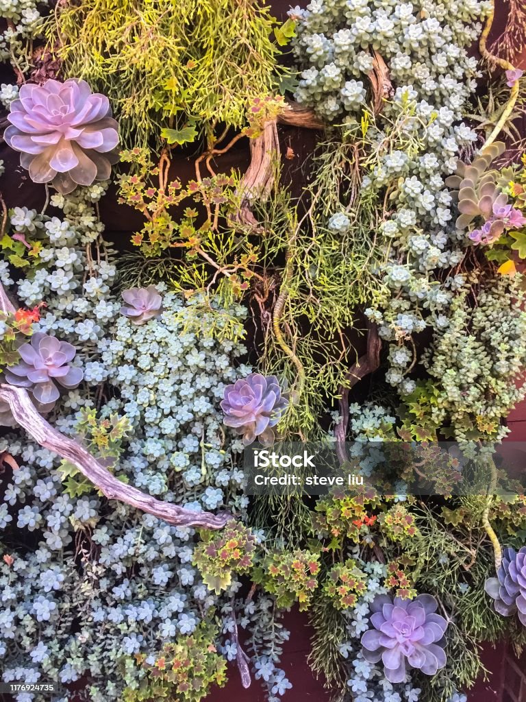 O Plantio Passo a Passo: Técnicas Para um Acabamento Profissional - inspiração 1