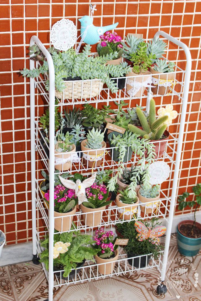 Os Primeiros Cuidados Pós-Plantio: Garantindo a Adaptação Rápida - inspiração 2