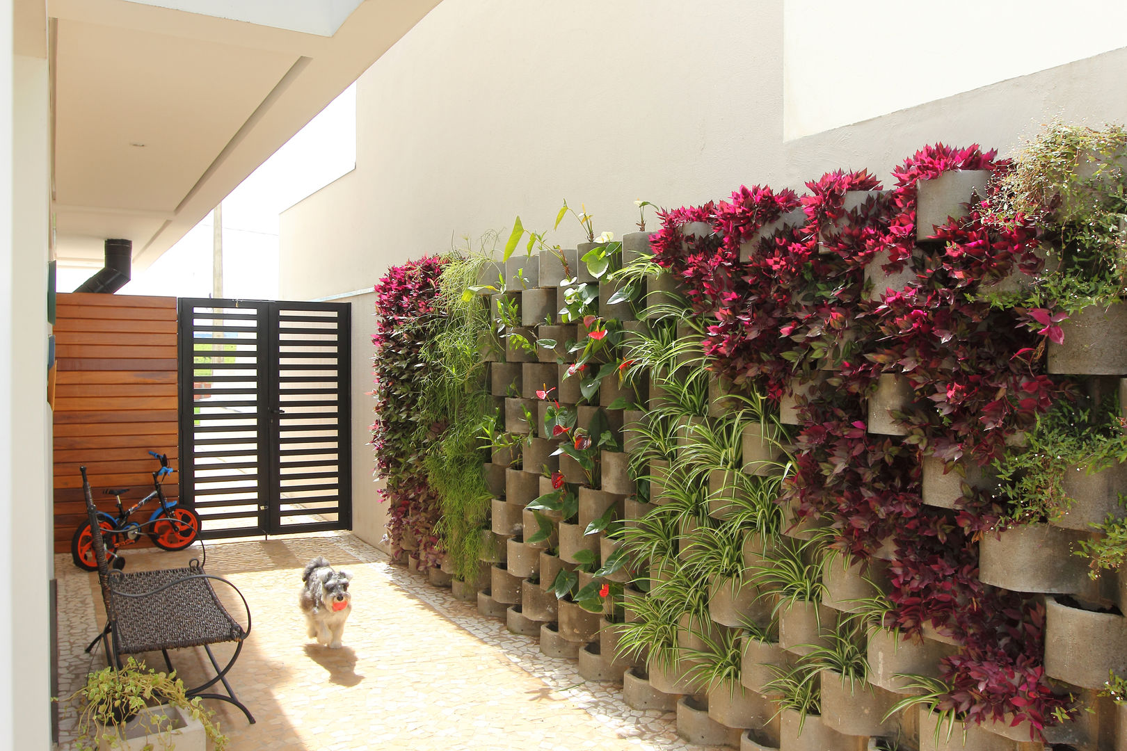 Sistemas de irrigação automática para jardins verticais