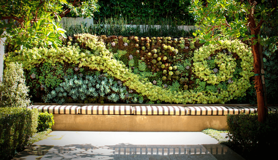 Guia completo de estruturas e suportes para jardins verticais