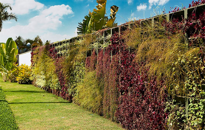 Como impermeabilizar um muro para jardim vertical