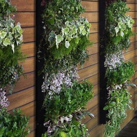 Sistemas de irrigação automática para jardins verticais