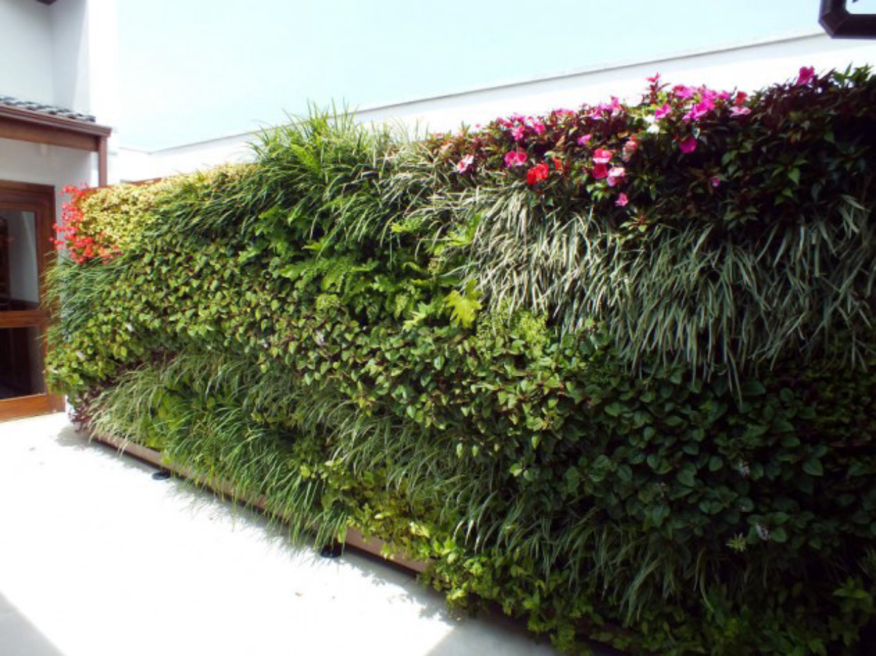 Como impermeabilizar um muro para jardim vertical