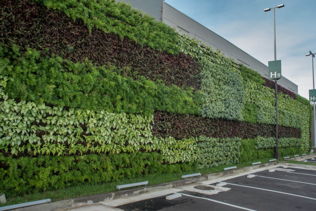 Sistemas de irrigação automática para jardins verticais