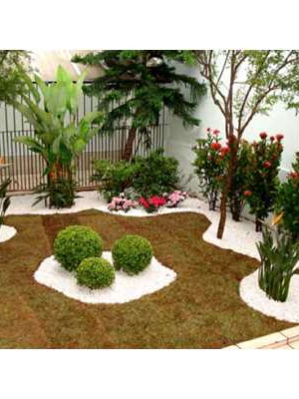 Adubação Essencial: Nutrientes que Garantem o Florescer e a Vitalidade - inspiração 1