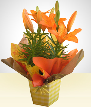 Controle de Pragas e Doenças: Protegendo Sua Beleza Natural - inspiração 2