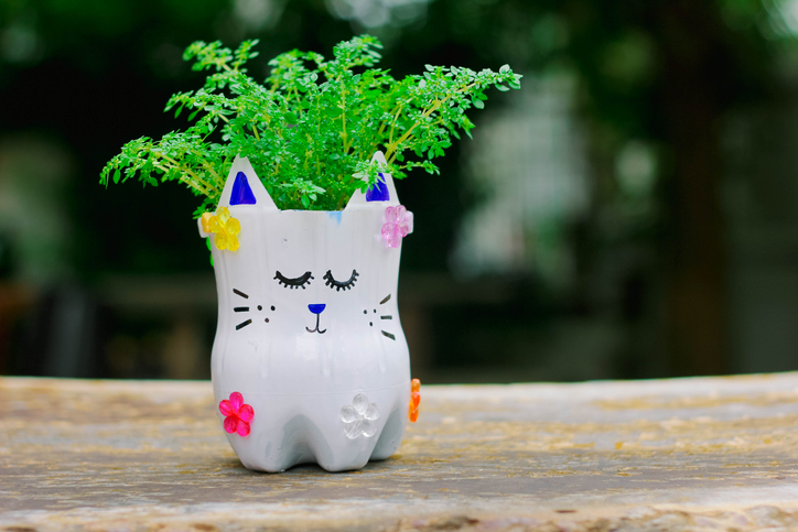 Custos envolvidos: O valor mensal do DAS e o que ele cobre - inspiração 2