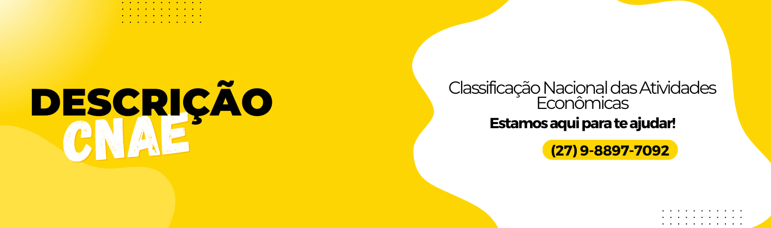 Escolhendo os CNAEs Certos para Consultoria de Gestão - inspiração 1