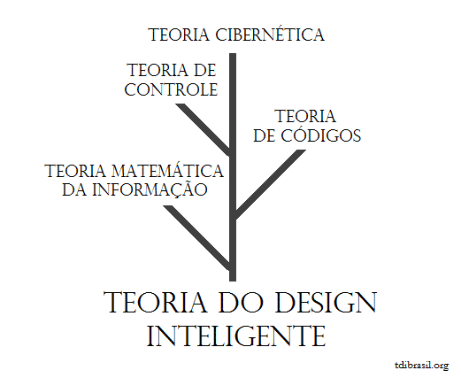 Taxa de Informação: Quantificando a Velocidade da Transmissão - inspiração 1