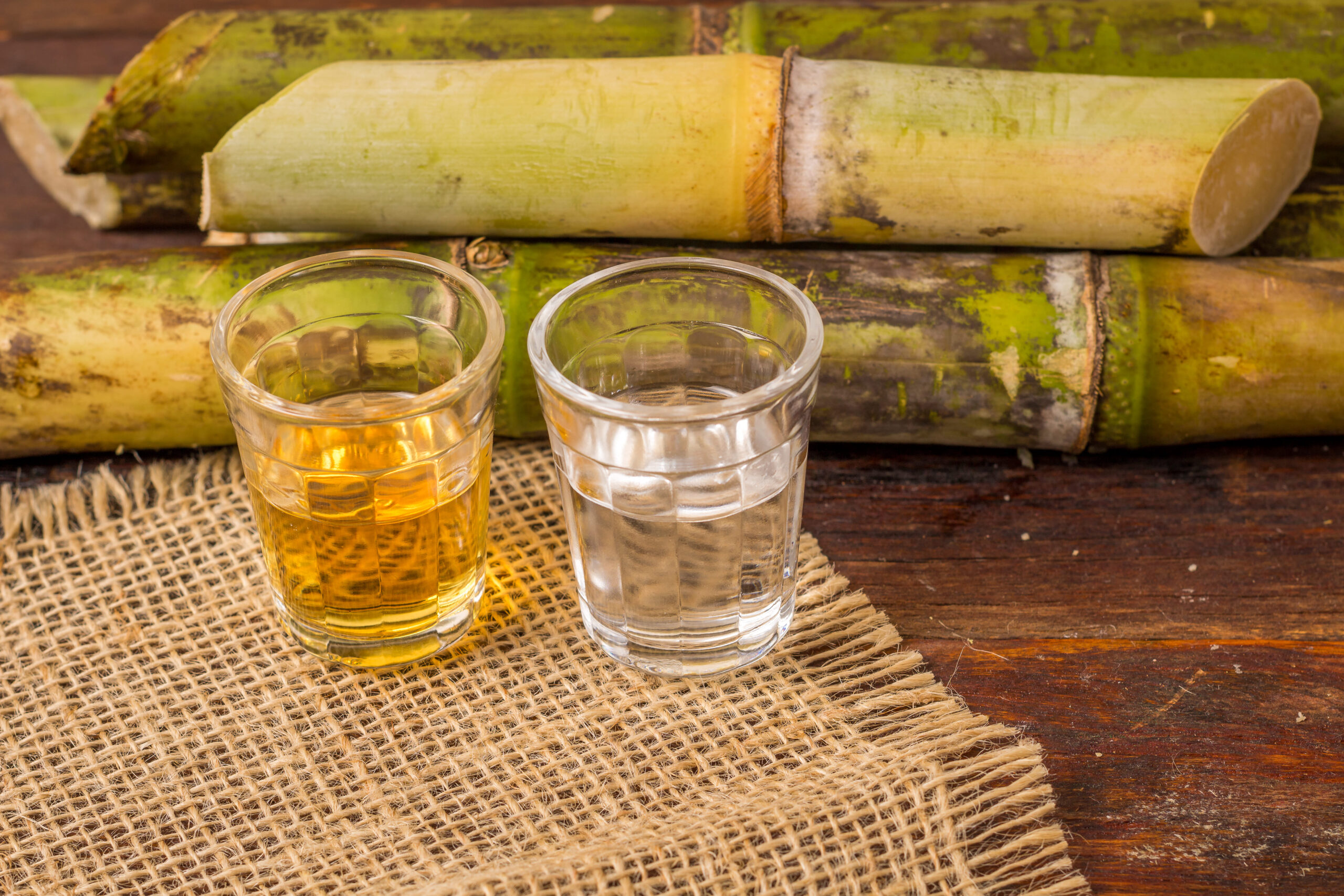 A Escolha da Matéria-Prima: Cana-de-Açúcar, a Essência Pura - inspiração 2