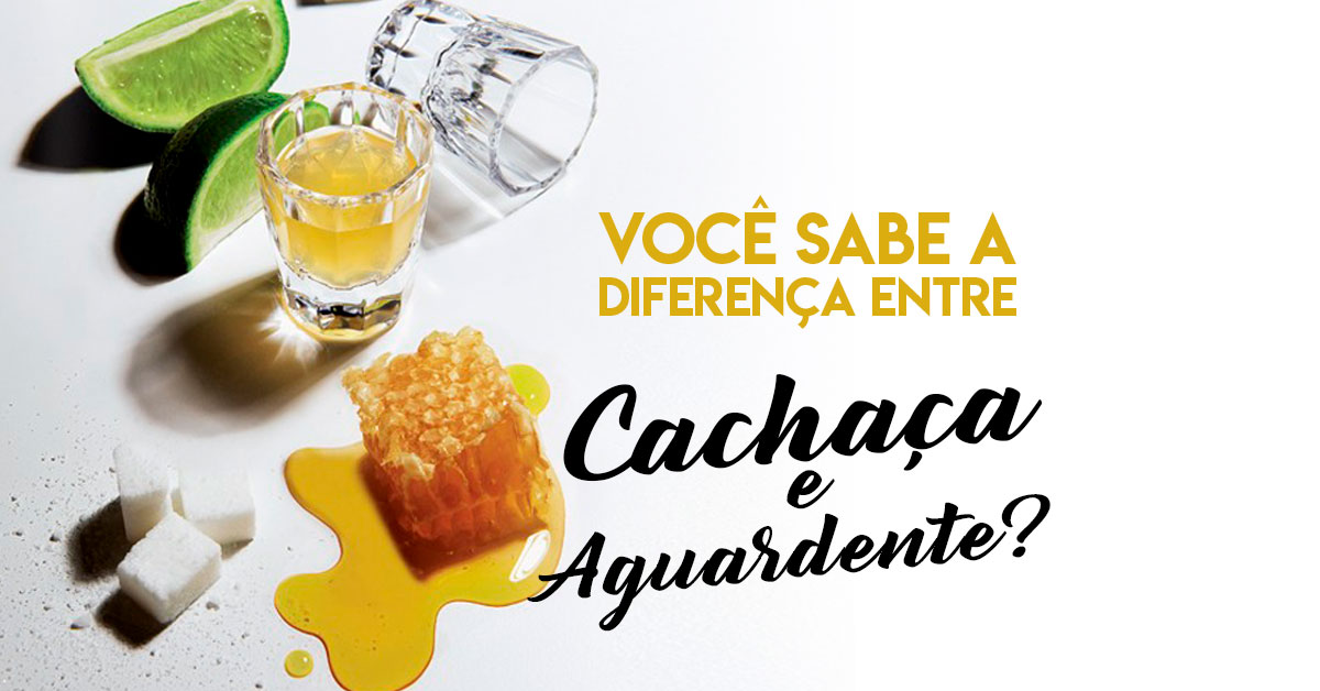 Dicas de Degustação: Apreciando Cada Gota com Maestria - inspiração 2