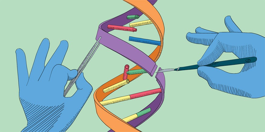 Como Funciona o CRISPR-Cas9 na Prática - inspiração 1
