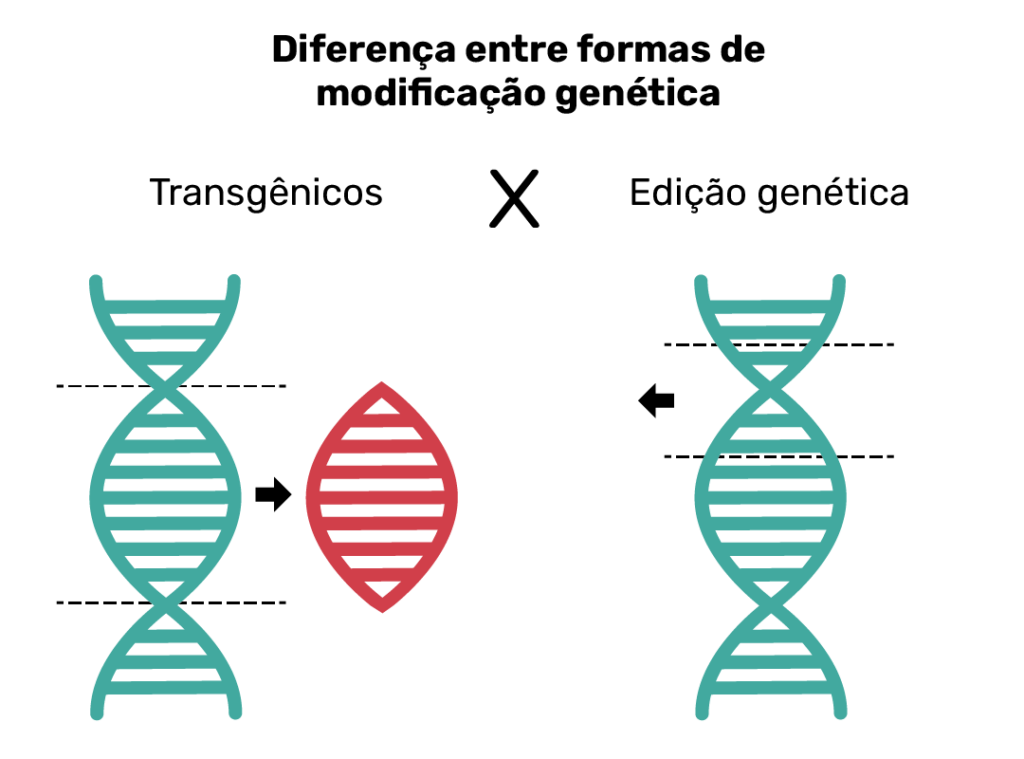 Comparando Edição Genética com Engenharia Genética Tradicional - inspiração 1