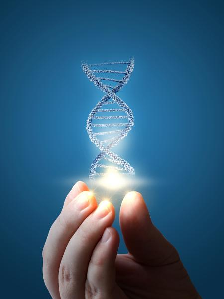 Aplicações na Agricultura: Colheitas Mais Fortes e Nutritivas - inspiração 1