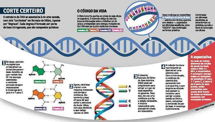 Aplicações na Agricultura: Colheitas Mais Fortes e Nutritivas - inspiração 2