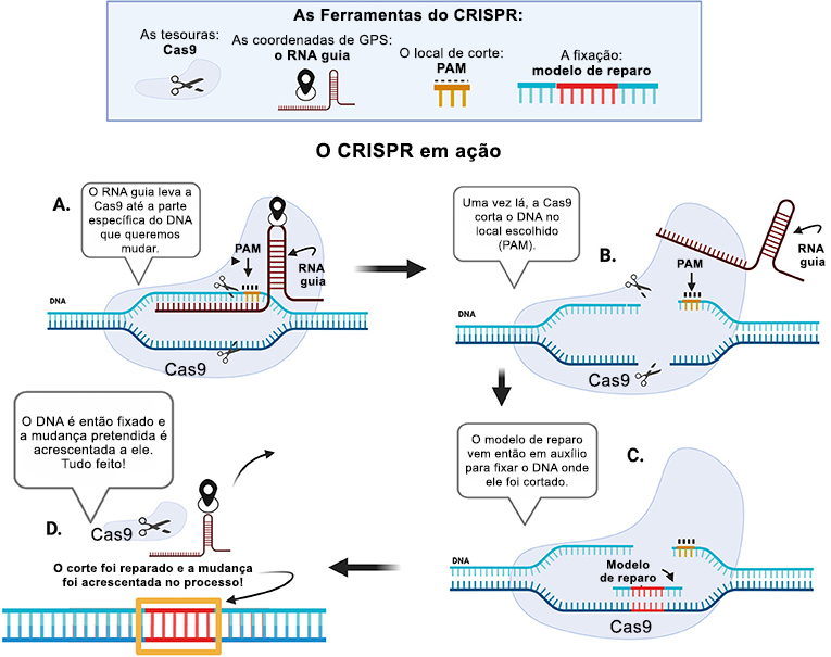 Desafios Éticos e Regulatórios da Edição Genética - inspiração 2