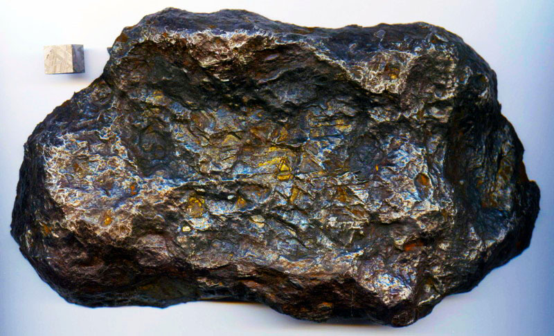 O Papel do Ferro no Sistema Imunológico - inspiração 1