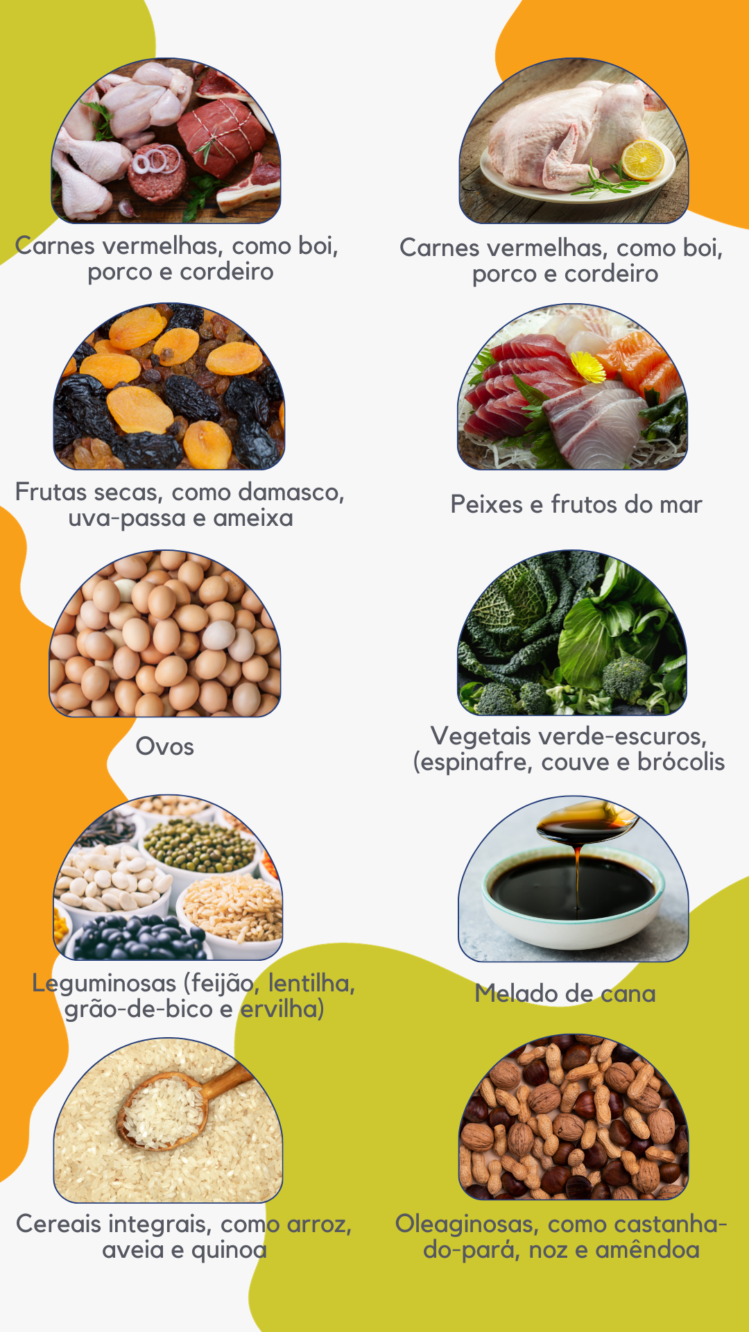 Fontes Alimentares Ricas em Ferro (Heme e Não-Heme) - inspiração 1