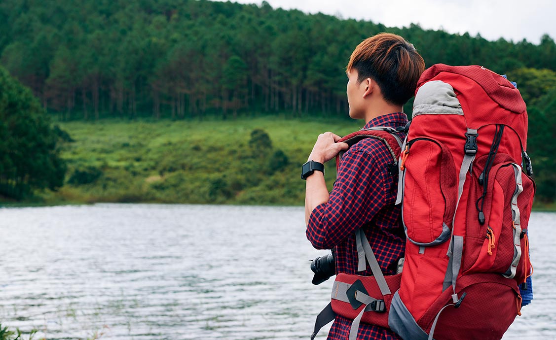 Escolhendo o Destino Certo: Paixão ou Perfeito para Iniciantes? - inspiração 2