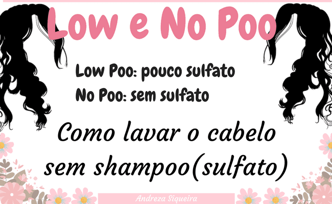 No Poo para Diferentes Tipos de Cabelo - inspiração 2