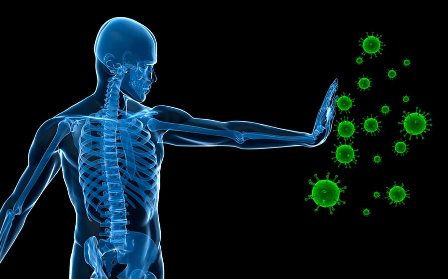 Os Especialistas: Linfócitos T e B Contra Invasores - inspiração 1