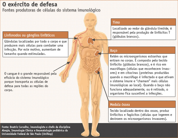 Os Mensageiros Químicos: Citocinas e Sua Comunicação Essencial - inspiração 1